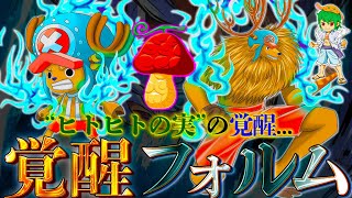 【ONE PIECE】チョッパーのquot覚醒フォルムquotは◯◯◯になるquotヒトヒトの実の秘密quotヤマト＆モモの助の覚醒フォルムも判明！！※ネタバレ注意 [upl. by Yruok645]