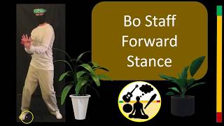 Bo Staff Forward Stance  Bo Staff Exercises [upl. by Neiht]