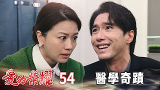 愛的榮耀 EP54 醫學奇蹟｜Glory of Love [upl. by Akapol]