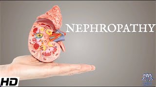 Nephropathy Everything You Need To Know [upl. by Mozelle]