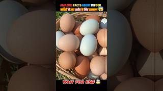 Top 10 Amazing facts about food 🥚🍎 food fact in Hindi facts shorts shortsfeed food yoga fruit [upl. by Wyatan139]