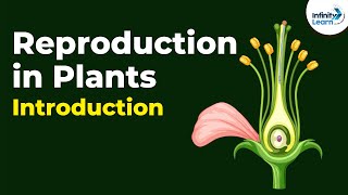 Introduction to Reproduction in Plants  Dont Memorise [upl. by Kcirdle125]