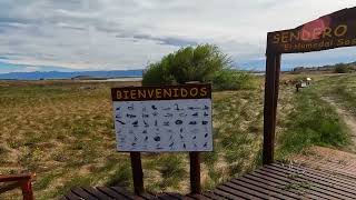 El Calafate amp Laguna Nemiz Nature Reserve Argentina [upl. by Ahsenar]