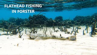 Flathead fishing with soft plastic lures in Forster [upl. by Enomrej]