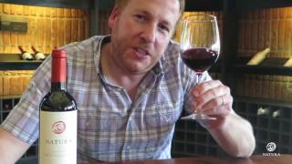 Chilean Carmenere Wine  Sustainable Wine  Natura Wines [upl. by Jasun179]