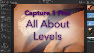 Capture One Pro  All About Levels [upl. by Eelrehpotsirhc30]