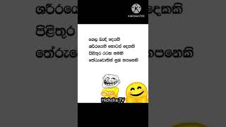 වැඩ්ඩො නම් කියමු බලන්න 💖💖💖🤣🤣🤣🥰🥰🥰 දන්න අය කමෙන්ට් කරන්න shorts shortvideo Hichchatv23 [upl. by Joachim]