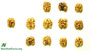 PREDIMED Does Eating Nuts Prevent Strokes [upl. by Ibbed]