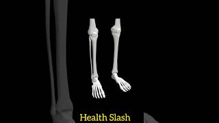 Clavicle bone anatomy 3D Animation healthslash [upl. by Nacim41]