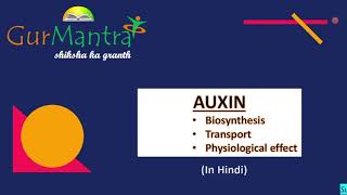 Auxin Biosynthesis  Transport  Physiological Effect  Plant Hormones  GATE XL  Gurmantra [upl. by Akeihsal905]