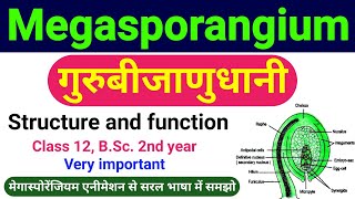 गुरुबीजाणुधानी  megasporangium in hindi  guru bijanu dhani  Structure the Ovule class 12 biology [upl. by Natie172]