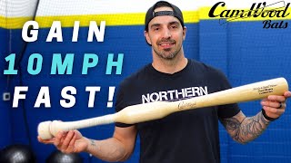 The BEST Baseball Training Bat  Camwood Bat Box Opening And Review [upl. by Bogosian]