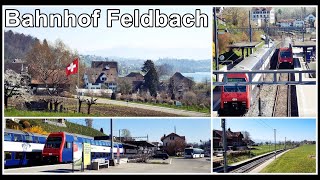 Wunderschön gelegener Bahnhof Feldbach Hombrechtikon Zürich Schweiz 2020 [upl. by Vi]