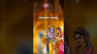 Kalyanam Vybhogam Lyrical  Srinivasa Kalyanam Songs  spbalasubrahmanyam spb [upl. by Skinner]