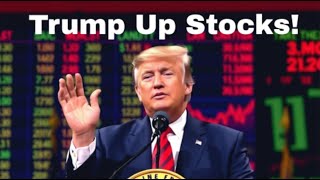 TRUMP RAISES STOCKS Hot Stock Portfolio with emphasis on Applovin Tesla QQQ TQQQ Trump amp Musk [upl. by Emse597]