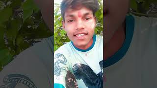 Doston Mera 1000 subscribe Gaya aise aage bhi support😱 comedy Sitaram Jay Shri Ram [upl. by Bohannon]