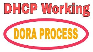 DHCP working in Hindi  DORA Process full explained [upl. by Nnylarat]