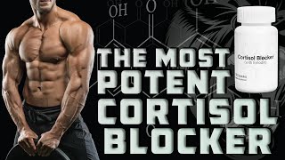 Cortisol Blockers  GR And Unaddressed Vectors Of Muscle Growth [upl. by Tersina]