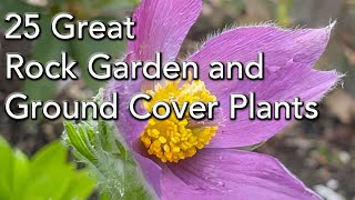 25 Rock Garden Plants  Easy Care Low Growing Plants and Ground Covers [upl. by Atinyl349]