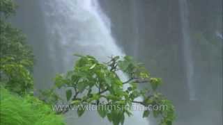 Lingmala waterfalls in Mahabaleshwar [upl. by Mccormick462]