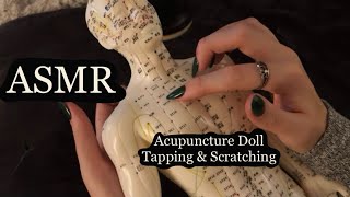 ASMR Gentle Tapping amp Scratching On An Acupuncture Doll No Talking [upl. by Nelag209]