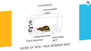 Skinners Operant Conditioning Theory Full Video [upl. by Dill]