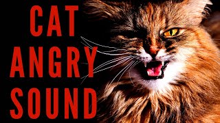 CAT ANGRY SOUND  Realistic Cat Sound  Maktubytv [upl. by Odraner983]