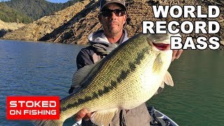 World Record Bass  Part 1 [upl. by Gale]