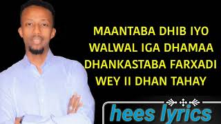 AWale Adan hees lyrics iisoo dhawow hees cusub 2020 [upl. by Amesari]