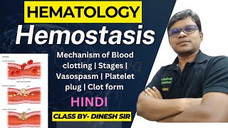 Hemostasis  Mechanism of Blood clotting  Stages  Vasospasm  Platelet plug  Blood clot  Hindi [upl. by Baily953]