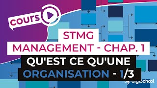 Chapitre 1  Quest ce quune organisation 13  Management Bac STMG  digiSchool [upl. by Narol680]