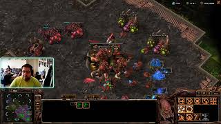 Learning Basic Zerg build Order to get you to Diamond Part 1 [upl. by Ardnaeel597]