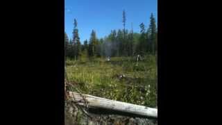 20lb Propane tank explosion with shotgun [upl. by Arraeis]