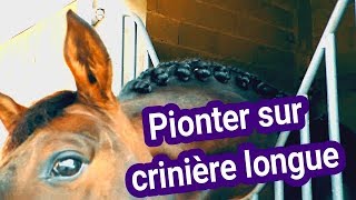 🎀 Comment faire des pions sur une crinière longue 🦄 [upl. by Talmud765]