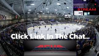 Waldorf University vs Augustana University MD2   ACHA Mens Hockey 2024 [upl. by Whitaker]