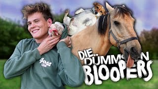 DIE DÜMMSTEN BLOOPERS mit allen Tieren  Joeys Jungle [upl. by Monteith]