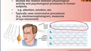 15 Biopsychology Divisions [upl. by Araccot]