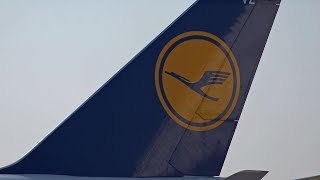 Lufthansa  Deutschland Deine Marken  HD  Doku  Portrait [upl. by Seiter]