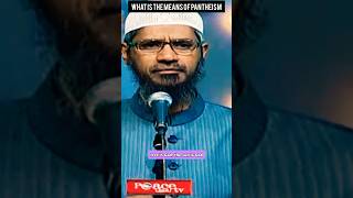 What Is The Means Of Pantheism drzakirnaik islam shorts [upl. by Ynafetse]