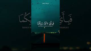 Surah Ar Rahman Verse 3742 Reciter Ahmed Khedr حفظه الله [upl. by Eloise431]