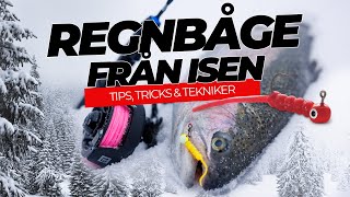 Regnbågsfiske från isen – galet kul och effektivt fiske [upl. by Ellehcem]