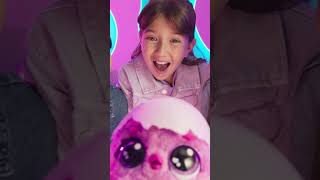 Hatchimals Alive Secret Hatch Draggle  Fire amp Water [upl. by Batruk]