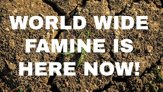 World Wide Famine is HERE NOW [upl. by Eloci]