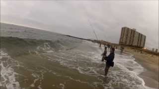 RAW Striped Bass and Bluefish Blitzing on Peanut Bunker  SURF FISHING NJ [upl. by Dean33]