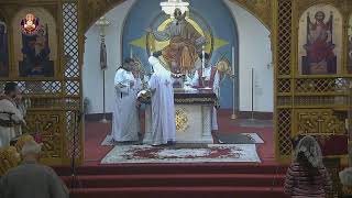 St Maurice Coptic Orthodox Church Live [upl. by Michi238]