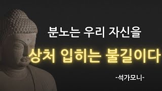 영혼의등불 분노는 우리 자신을 상처 입히는 불길이다 l 분노가 당신의 행복을 앗아간다 l 석가모니 l 지혜ㅣ명언ㅣ철학ㅣ겸손ㅣ깨달음ㅣ인간관계ㅣ인생명언ㅣ명언낭독 [upl. by Andri]