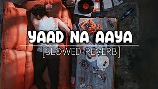 Yaad Na Aaya🥀 SlowedReverb Song 🎧 [upl. by Ulita589]