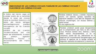 LESIONES DE LARINGE TRAQUEA Y VRS [upl. by Annhej]