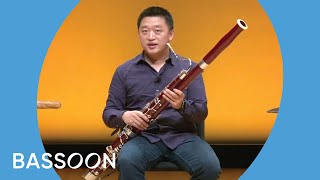 Guide to the Orchestra Bassoon [upl. by Ontina]