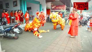 Barongsai  Gong Xi Fa Cai 2017 Pupuan Tabanan Bali [upl. by Rola860]